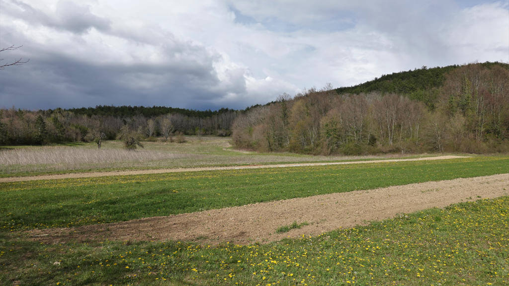 Grüne Frühlingslandschaft, kurz vor einem Regenschauer.