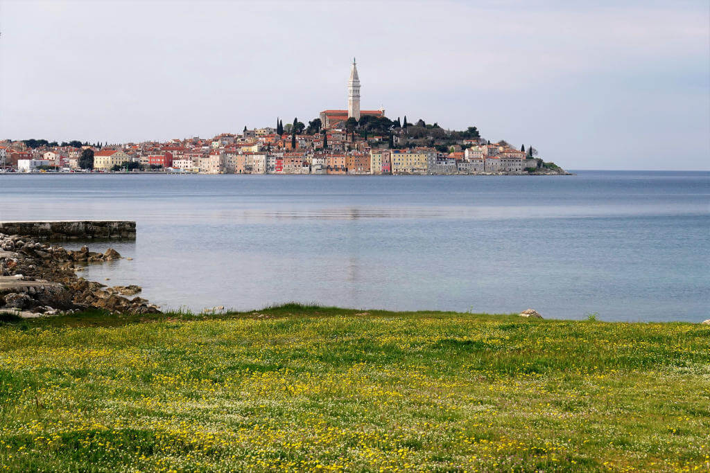 Schöne Blumenwiese und das Panorama von Rovinj.