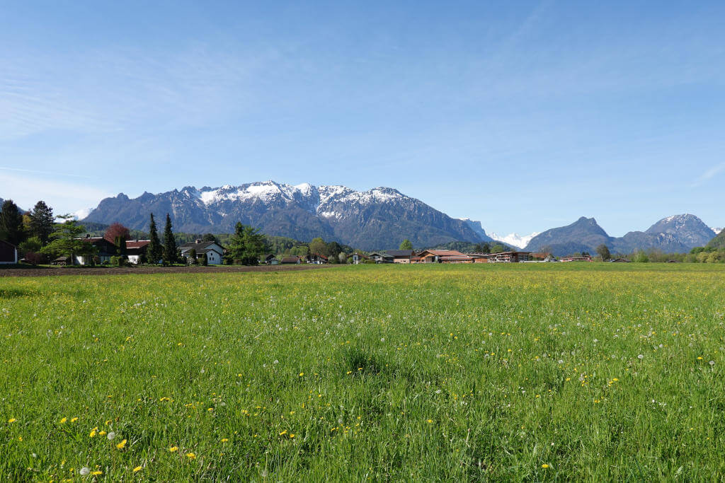 Grüne Frühlingswiese vor einer kleinen Siedlung, im Hintergrund die Berge der Alpen.