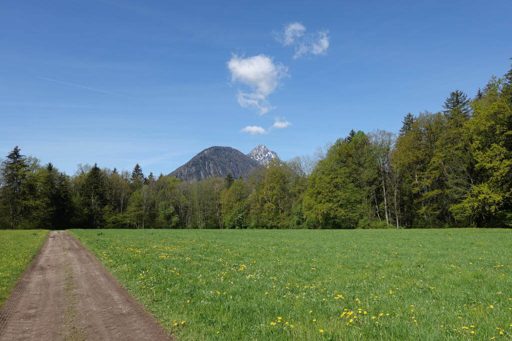 Spazierweg durch die grüne Natur, bei sonnigem Wetter im Frühling.