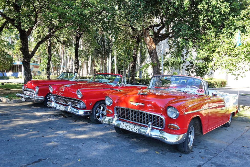 Drei rote Oldtimer, die nebeneinander unter einer Baumallee parken.